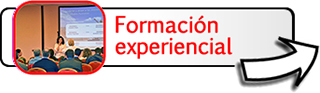 formacion de equipos de trabajo